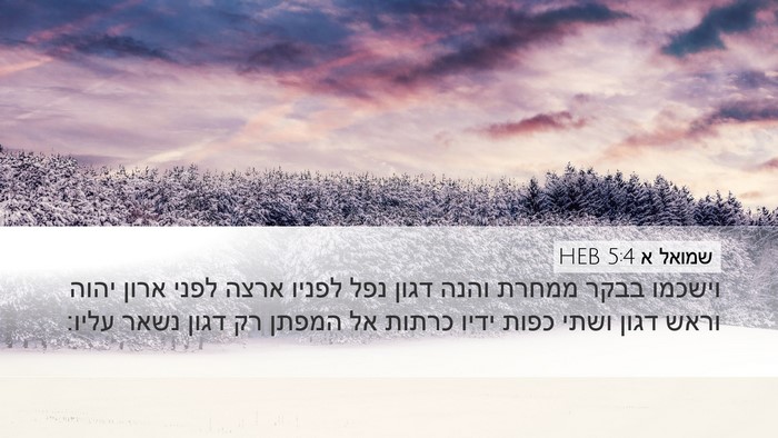 שמואל א 5:4 HEB Desktop Wallpaper - וישכמו בבקר ממחרת והנה - Desktop Bible Verse Wallpaper