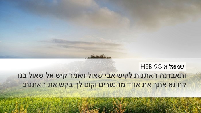 שמואל א 9:3 HEB Bible Verse Image