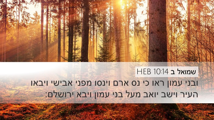 שמואל ב 10:14 HEB Bible Verse Image