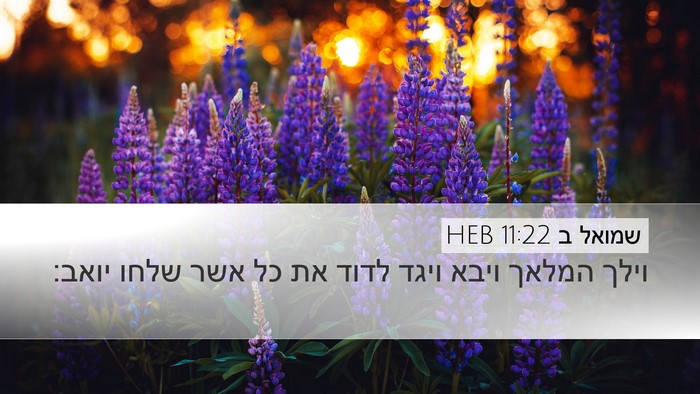 שמואל ב 11:22 HEB Desktop Wallpaper - וילך המלאך ויבא ויגד לדוד - Desktop Bible Verse Wallpaper