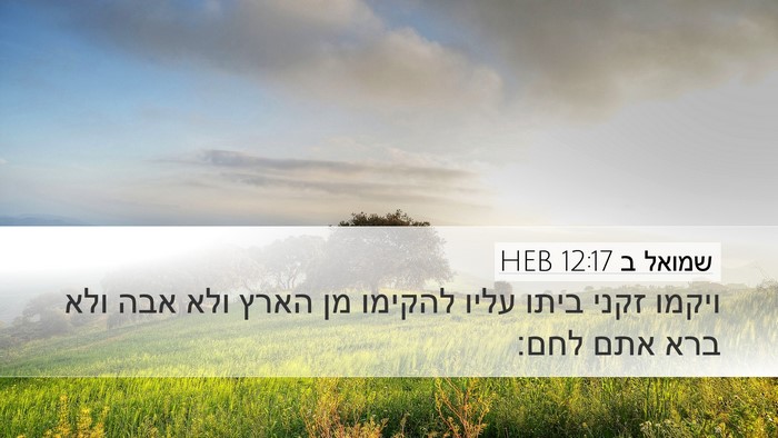 שמואל ב 12:17 HEB Bible Verse Image