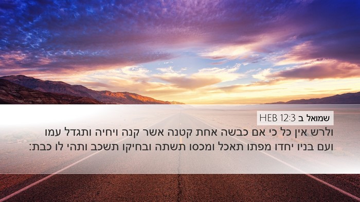 שמואל ב 12:3 HEB Bible Verse Image