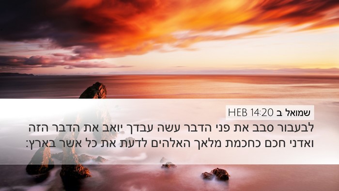 שמואל ב 14:20 HEB Bible Verse Image