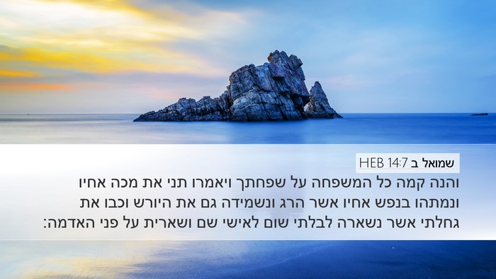 שמואל ב 14:7 HEB Desktop Wallpaper - והנה קמה כל המשפחה על שפחתך - Desktop Bible Verse Wallpaper