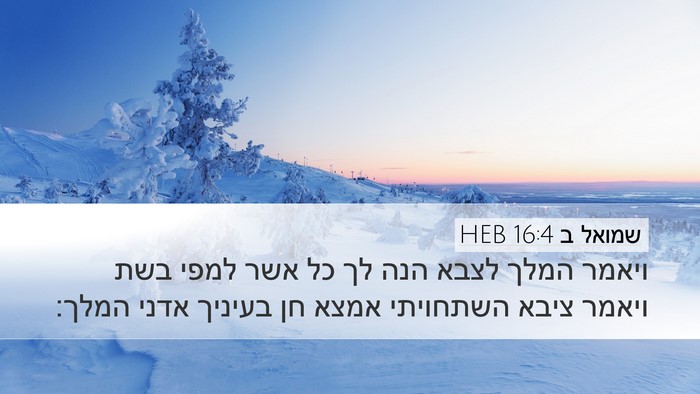 שמואל ב 16:4 HEB Bible Verse Image