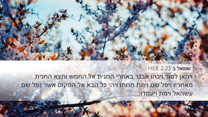 שמואל ב 2:23 HEB Bible Verse Image