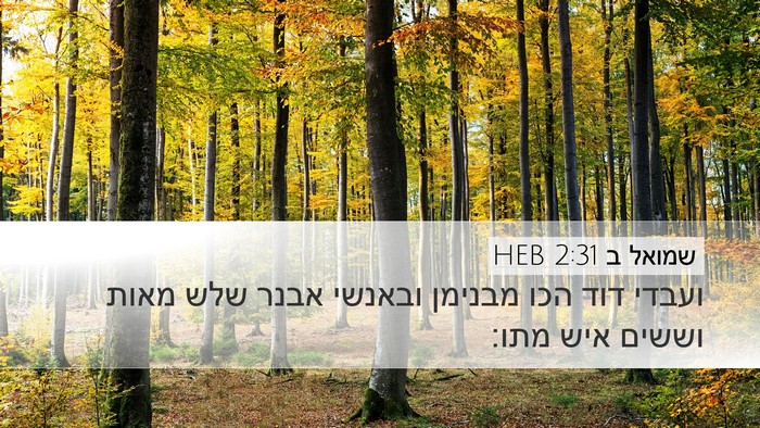 שמואל ב 2:31 HEB Bible Verse Image