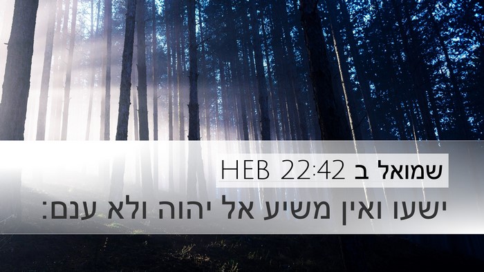 שמואל ב 22:42 HEB Bible Verse Image