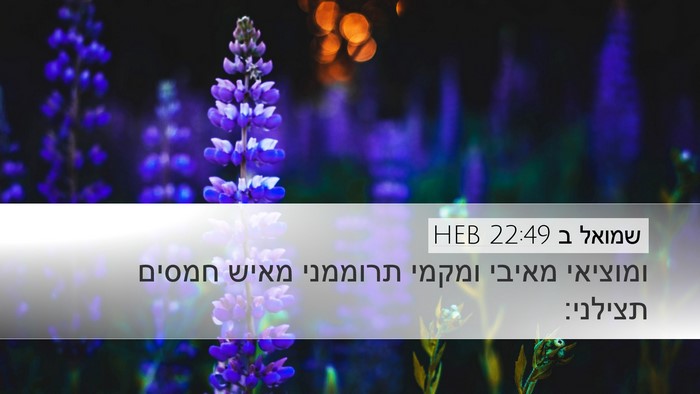 שמואל ב 22:49 HEB Desktop Wallpaper - ומוציאי מאיבי ומקמי - Desktop Bible Verse Wallpaper