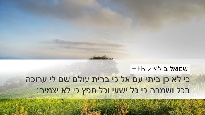 שמואל ב 23:5 HEB Bible Verse Image