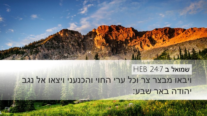 שמואל ב 24:7 HEB Bible Verse Image