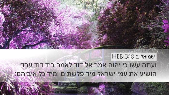 שמואל ב 3:18 HEB Bible Verse Image
