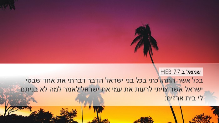 שמואל ב 7:7 HEB Bible Verse Image