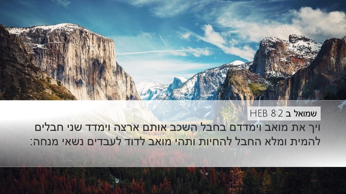 שמואל ב 8:2 HEB Bible Verse Image