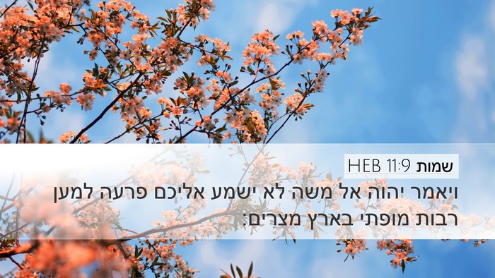שמות 11:9 HEB Bible Verse Image