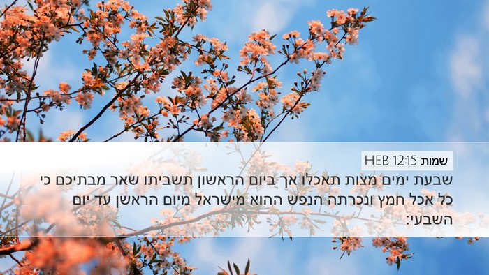שמות 12:15 HEB Bible Verse Image
