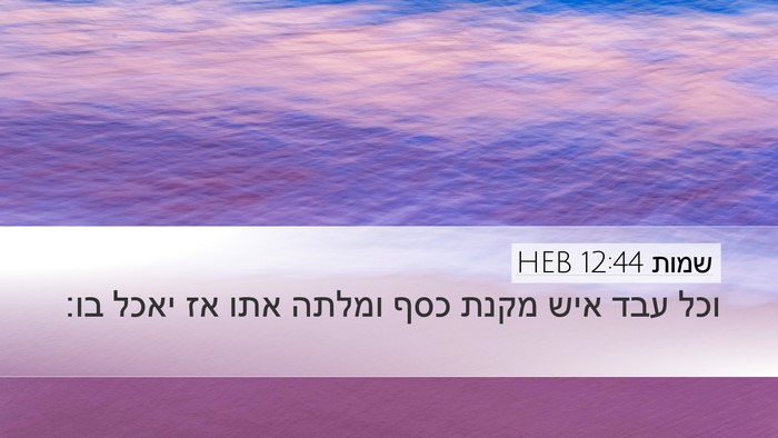 שמות 12:44 HEB Bible Verse Image
