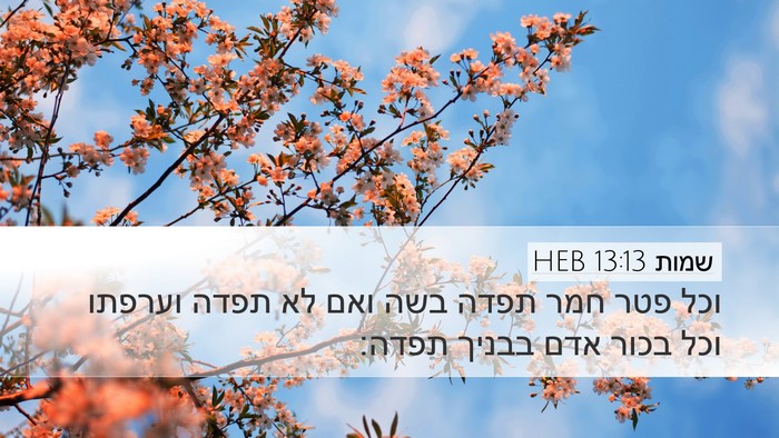 שמות 13:13 HEB Bible Verse Image