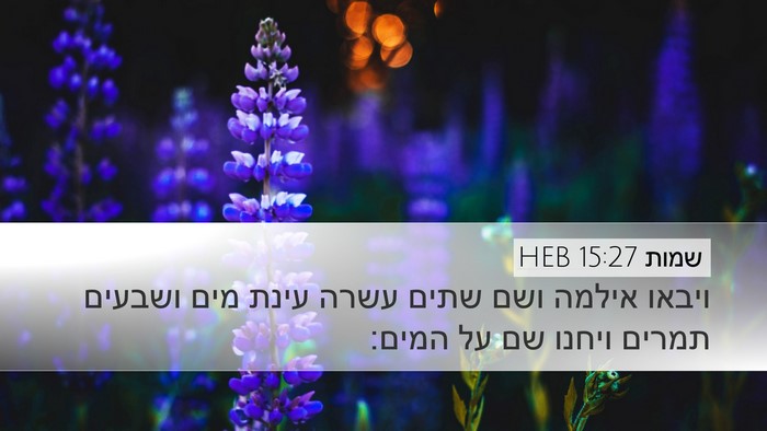 שמות 15:27 HEB Bible Verse Image