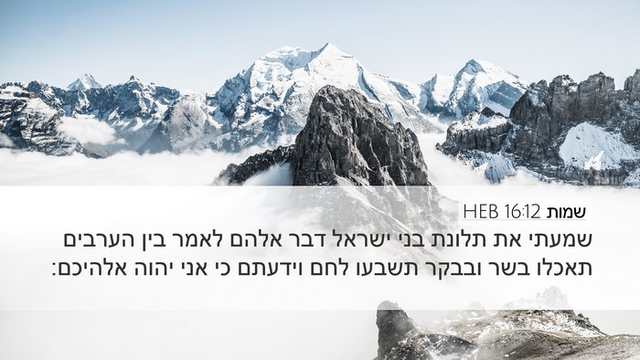 שמות 16:12 HEB Bible Verse Image
