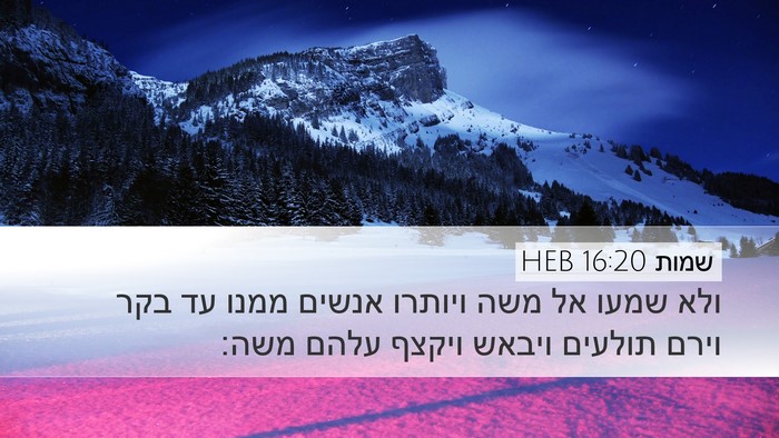 שמות 16:20 HEB Bible Verse Image