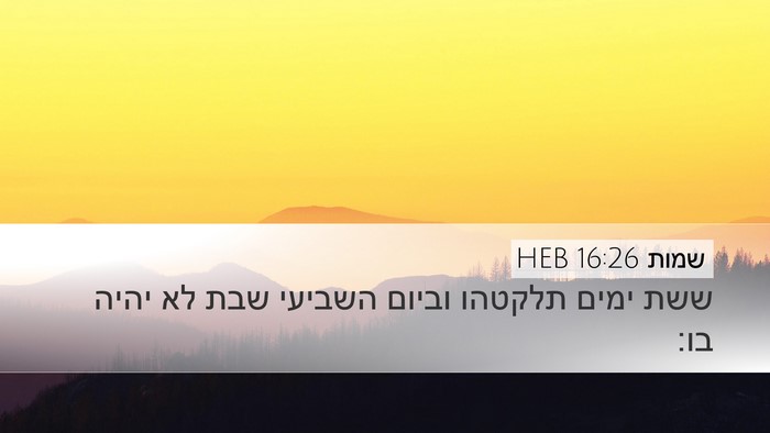שמות 16:26 HEB Desktop Wallpaper - ששת ימים תלקטהו וביום - Desktop Bible Verse Wallpaper