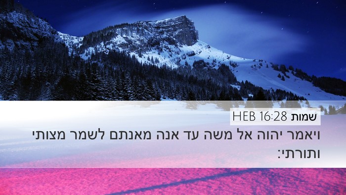 שמות 16:28 HEB Bible Verse Image