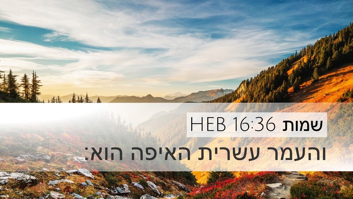 שמות 16:36 HEB Bible Verse Image