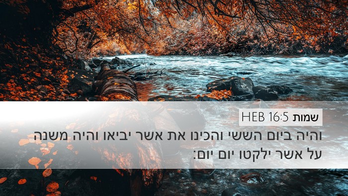 שמות 16:5 HEB Desktop Wallpaper - והיה ביום הששי והכינו את - Desktop Bible Verse Wallpaper