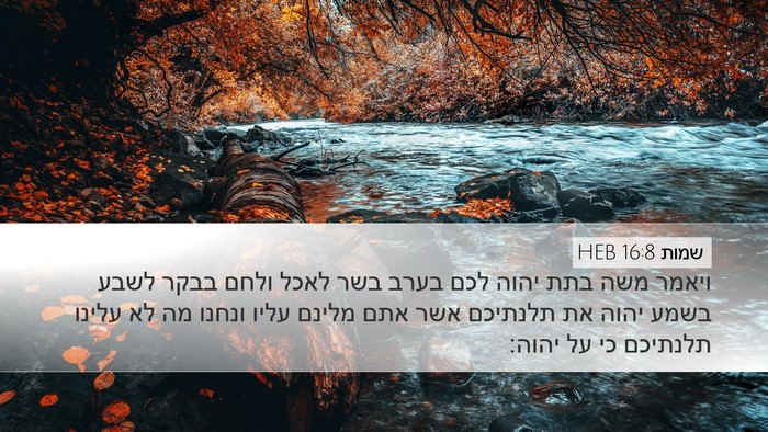 שמות 16:8 HEB Bible Verse Image