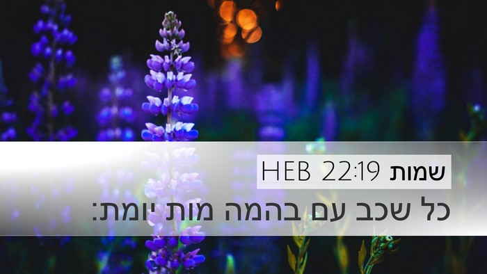 שמות 22:19 HEB Bible Verse Image