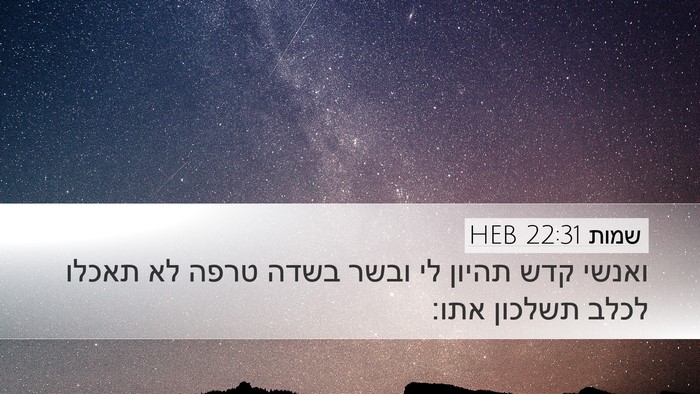 שמות 22:31 HEB Bible Verse Image