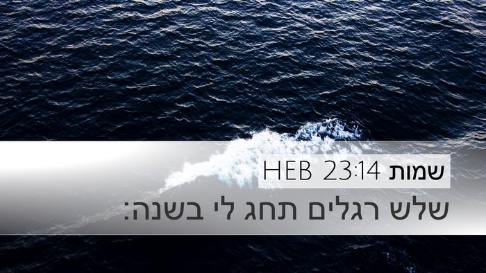 שמות 23:14 HEB Bible Verse Image