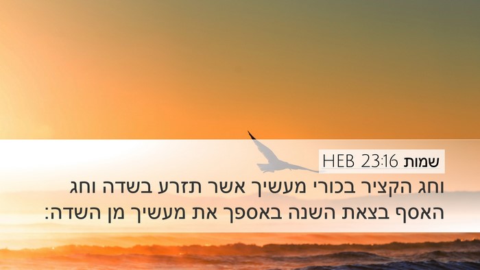שמות 23:16 HEB Bible Verse Image