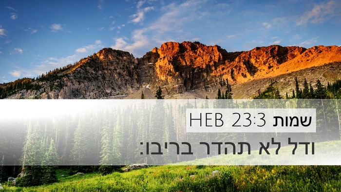 שמות 23:3 HEB Bible Verse Image