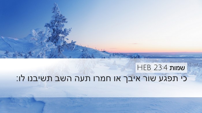 שמות 23:4 HEB Bible Verse Image