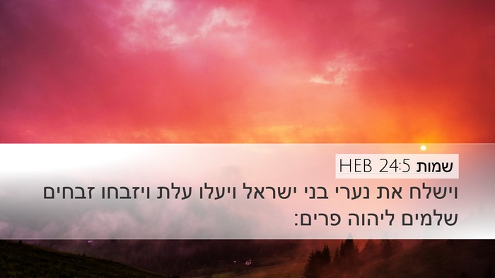 שמות 24:5 HEB Bible Verse Image
