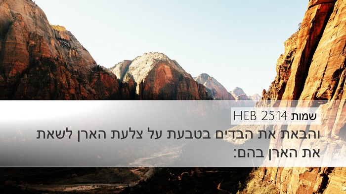 שמות 25:14 HEB Bible Verse Image