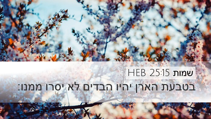שמות 25:15 HEB Bible Verse Image