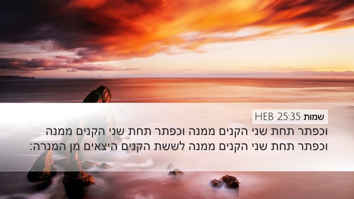 שמות 25:35 HEB Bible Verse Image