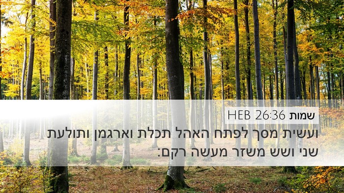 שמות 26:36 HEB Bible Verse Image