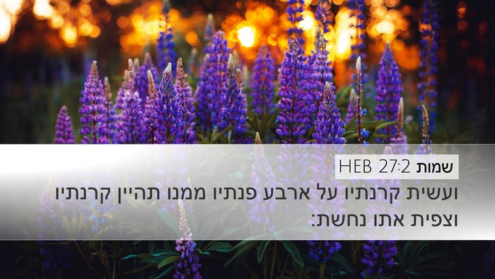 שמות 27:2 HEB Bible Verse Image