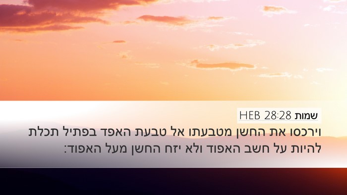 שמות 28:28 HEB Desktop Wallpaper - וירכסו את החשן מטבעתו אל - Desktop Bible Verse Wallpaper
