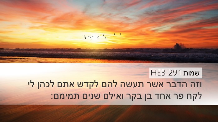 שמות 29:1 HEB Bible Verse Image