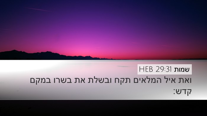 שמות 29:31 HEB Bible Verse Image