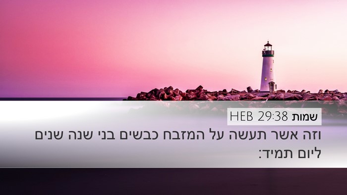 שמות 29:38 HEB Bible Verse Image