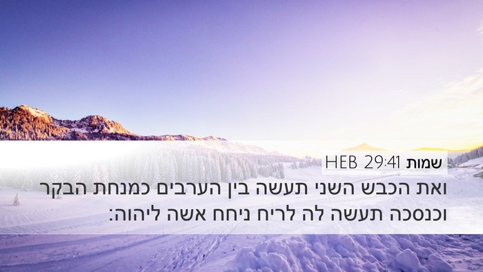 שמות 29:41 HEB Bible Verse Image