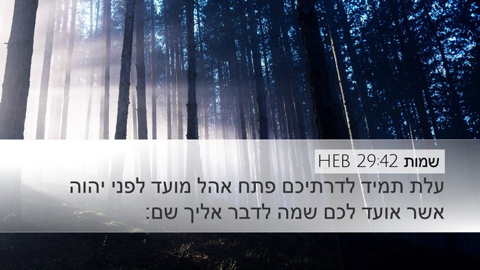 שמות 29:42 HEB Bible Verse Image