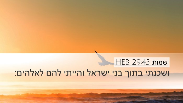 שמות 29:45 HEB Bible Verse Image
