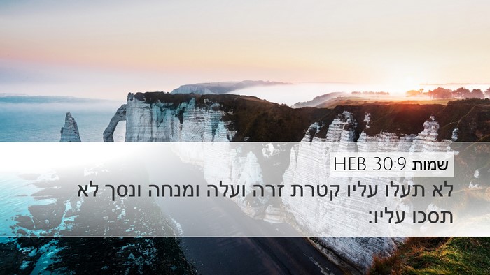 שמות 30:9 HEB Bible Verse Image